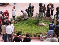 Makü Öğrencileri Çiçek Ve Fidan Dikti