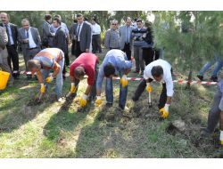 Kampüsteki Geç Roma Dönemine Ait Tarihi Alan Gün Işığına Çıkarılacak