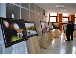 Kahramanmaraş'ın 'Dört Mevsimi' Fotoğraflandı