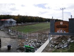 Türkiye’nin En Büyük Barınağında Hayvan Mezarlığı Da Yapılacak