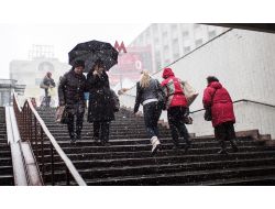 Rus Halkının Yüzde 66’sı Politika İle İlgilenmiyor