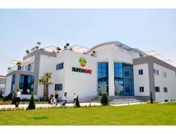 Geçen Yıla Göre Yüzde 49 Zamlanan Doğalgaz Hala En Ekonomik Yakıt