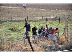 Çatışmalardan Kaçan Suriyeliler, Derbesiye’den Türkiye Sınırına Akın Ediyor