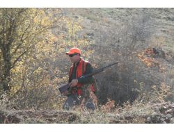 Avcılar, Keklik Popülasyonu Azalınca ‘av Sezonunun’ Kapanmasını İstedi