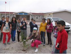 Tema Kayseri, Litvanyalı Gençlerle Fidan Dikti