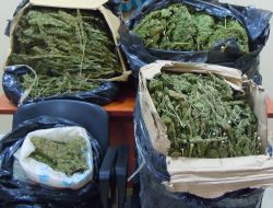 Tarsus’ta Uyuşturucu Operasyonu