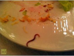 Solucan Gerekçe Oldu; Rusya’dan Bürokratlara Twitter Uyarısı