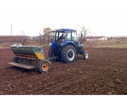 Sivas'ta Soğuğa Ve Kurağa Dayanıklı Buğday Üretilecek