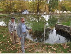 Saniyede 17 Litre Su Çıkan Kaynak, 500 Yıldır Kesintisiz Akıyor