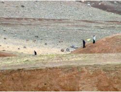 Cizre Polisi, Sözde Pkk Bayrağını Söktü!