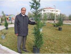 Aksaray Belediyesi'nden Ağaçlandırma Çalışması