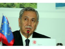 Arınç: Anadilde Savunma Düzenlemesinin Açlık Greviyle İlgisi Yok