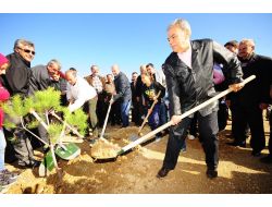 Moloz Sahası Yeni Kent Ormanı Oluyor