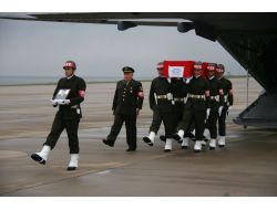 Şehit Askerin 23 Günlük Eşi: Sana Doyamadım