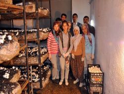 Boş Okullar Mantar Tarlası Olarak Ekonomiye Kazandırıldı