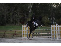 Gıda, Tarım Ve Hayvancılık Bakanlığı Kupası Wassenaar'ın