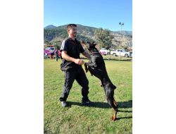 K-9 Köpekleri Antalya’da Yarıştı