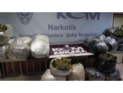 Sevkiyat ‘hassas burunlara’ takıldı