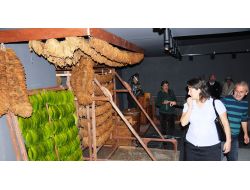 2 Asır Tütünle Anılan Samsun'da, Yeni Nesil Tütün Üretimini Artık Müzede Görecek