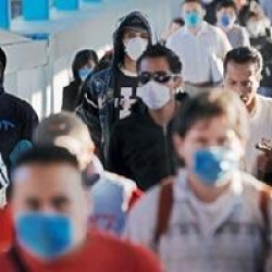 Domuz Gribinden 332 Kişi Öldü!.