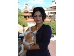 Sideli Hayvansever Çift Sokak Kedilerine Sahip Çıkıyor