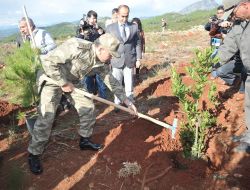'80 İlde 81orman' Projesinin 80. Ormanına İlk Fidanı Vali Cerrah Dikti