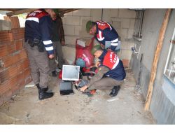 Bekçilik İçin Başvurduğu Çiftliği Soydu