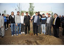 Bursaspor Teknik Direktörü Ertuğrul Sağlam Fidan Dikti