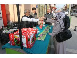 Kocaeli'nde Lale Satışları Başladı