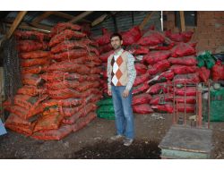 Sivas'ta Odun Ve Kömür Satışları Arttı