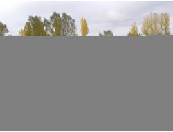 Muş – Hasköy’de Engellilere Spor Sevgisi