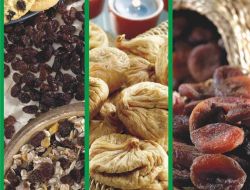 Kuru Meyve İhracatçıları Tanıtım Grubu Kurdu, Dr. Öz'le Tanıtım Yapacak