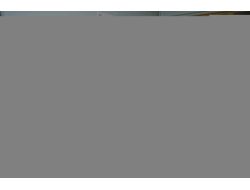 Kaçmaz: Hakkari'de Yetişen Bitkilerle Organik Arıcılık Yapılabilir