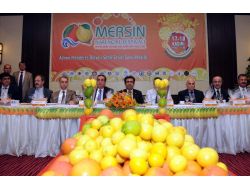 Mersin Narenciye Festivali, Kaynaştıracak