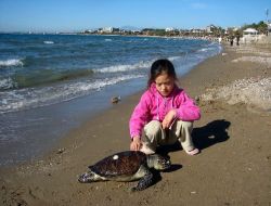 Denize Atılan Naylon Poşetler, Caretta Carettaların Boğulmasına Neden Oluyor