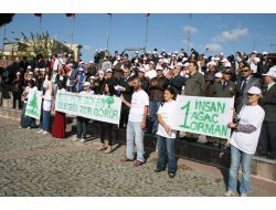 Üniversiteliler Orman Yangınlarına Dikkat Çekmek İçin Yürüdü