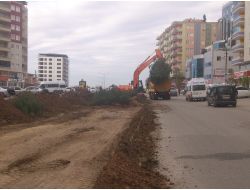 Çevreciler, Yol İnşaatı Sırasındaki Ağaç Kesimine Tepki Gösterdi