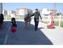 Uşak Belediye Başkanı Erdoğan: Atlı Rehabilitasyonda Avrupa Standartındayız