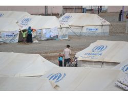 Kimse Yok Mu'dan 'Bir Halı Da Sizden' Kampanyası