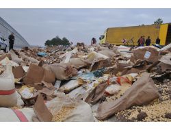Çorum'da Fındık Taşıyan Tır Kaza Yaptı, Baba Ve Oğlu Öldü