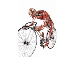 Gül İçin 17, Kaş Çatmak İçin 43 Kas Kullanıyoruz