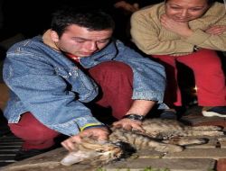 Evleri Yandı, Ölen Kedisi İçin Gözyaşı Döktü