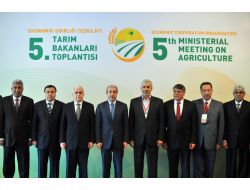 Eker: Dünyada Tahıl Üretimi Yüzde 2,6, Buğday Üretimi Yüzde 5,2 Düştü