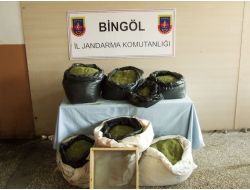 Bingöl'de 50 Kilo Esrar Ele Geçirildi!