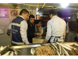 Hatay'da Balıkçılar Denetlendi