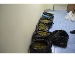 Birecik Emniyeti 15 Kilogram Esrar Ele Geçirdi