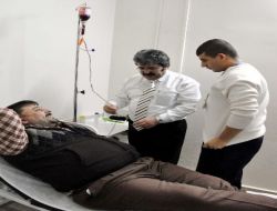 Ozon Tedavisi Domuz Gribine Karşı Vücudun Direncini Arttırıyor!!