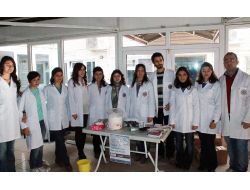 Türkiye’de Her 10 Kişiden Biri Diyabet Hastası