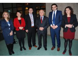 Tbmm Başkanı Çiçek, Hollanda Meclisi'nde