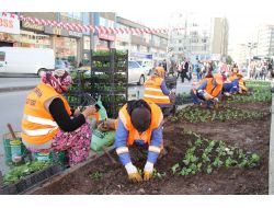 Büyükşehir Belediyesi, Yıl Sonuna Kadar 1 Milyon Çiçek Dikecek